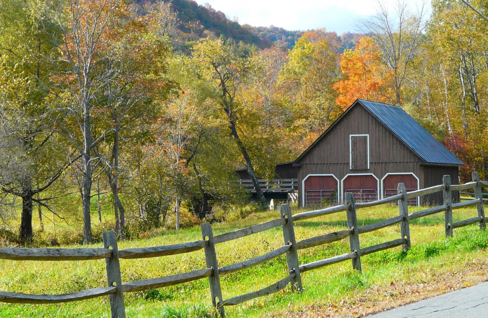 herbst bäume haus gras zaun