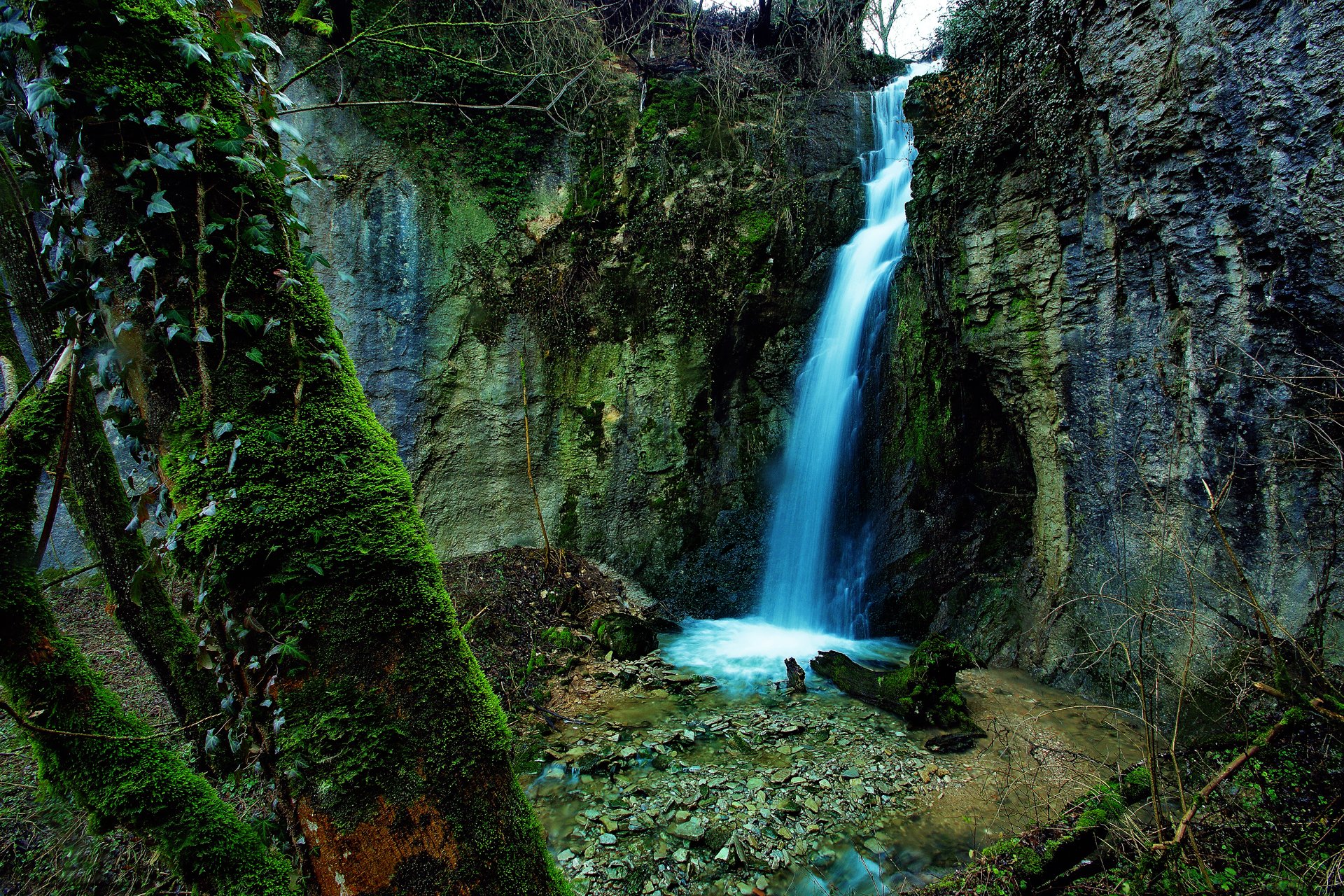 nature waterfall rock forest