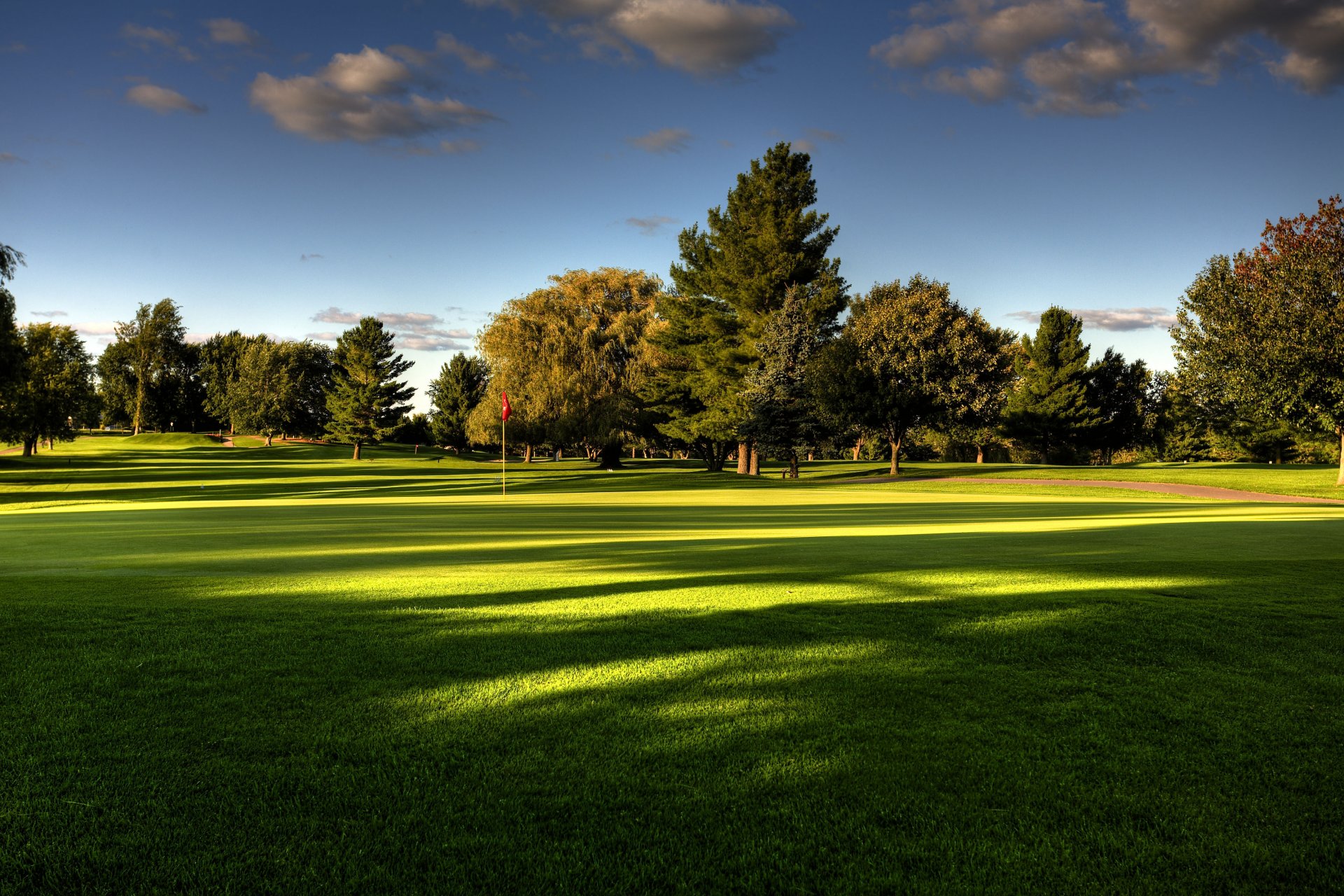 nature terrain de golf arbres herbe ciel été