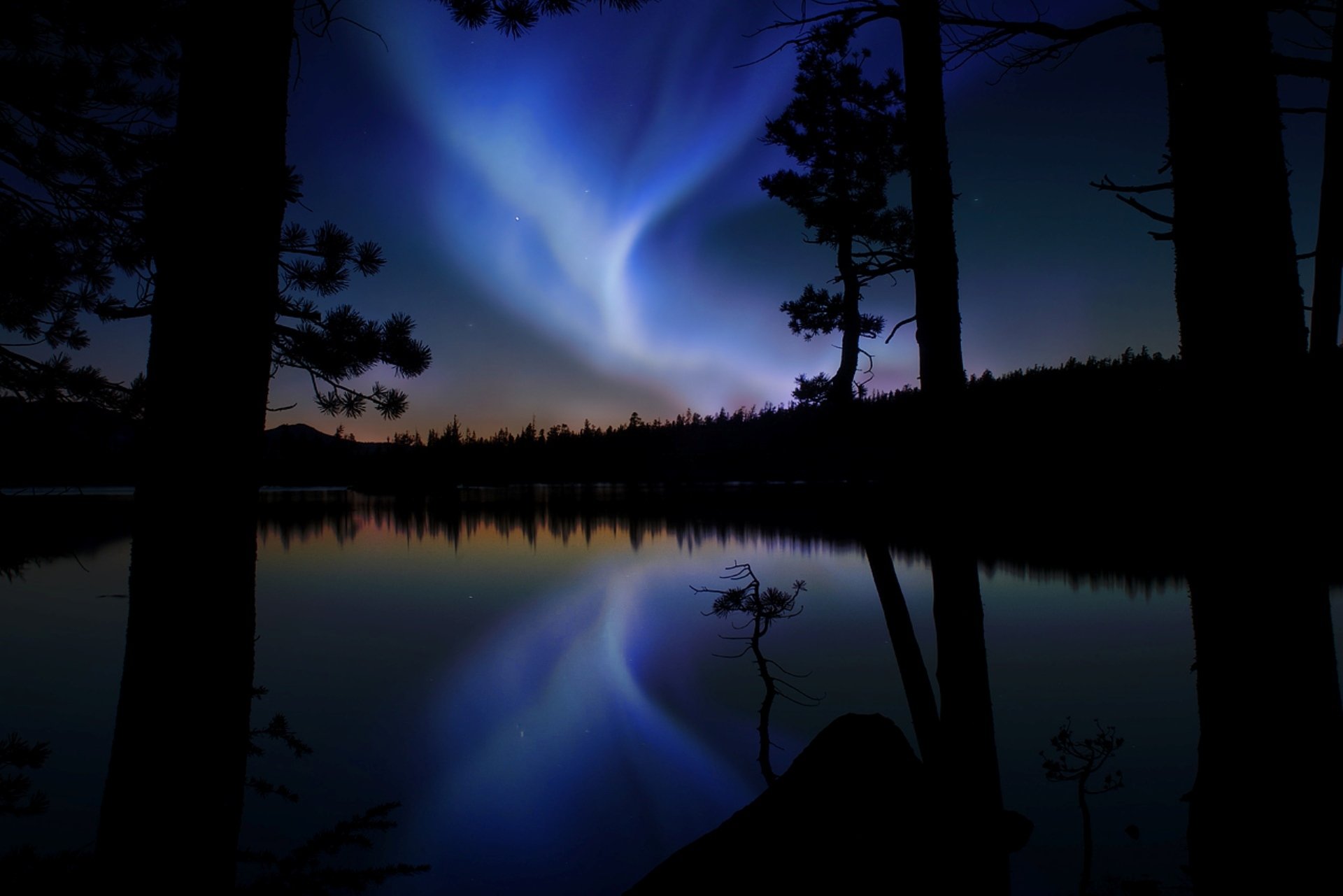 aurora northern lights glow forest tree lake reflection mood