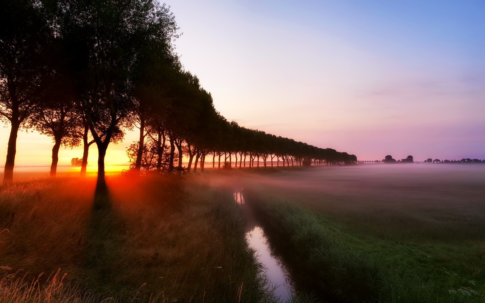 amanecer rayos niebla arroyo hierba árboles