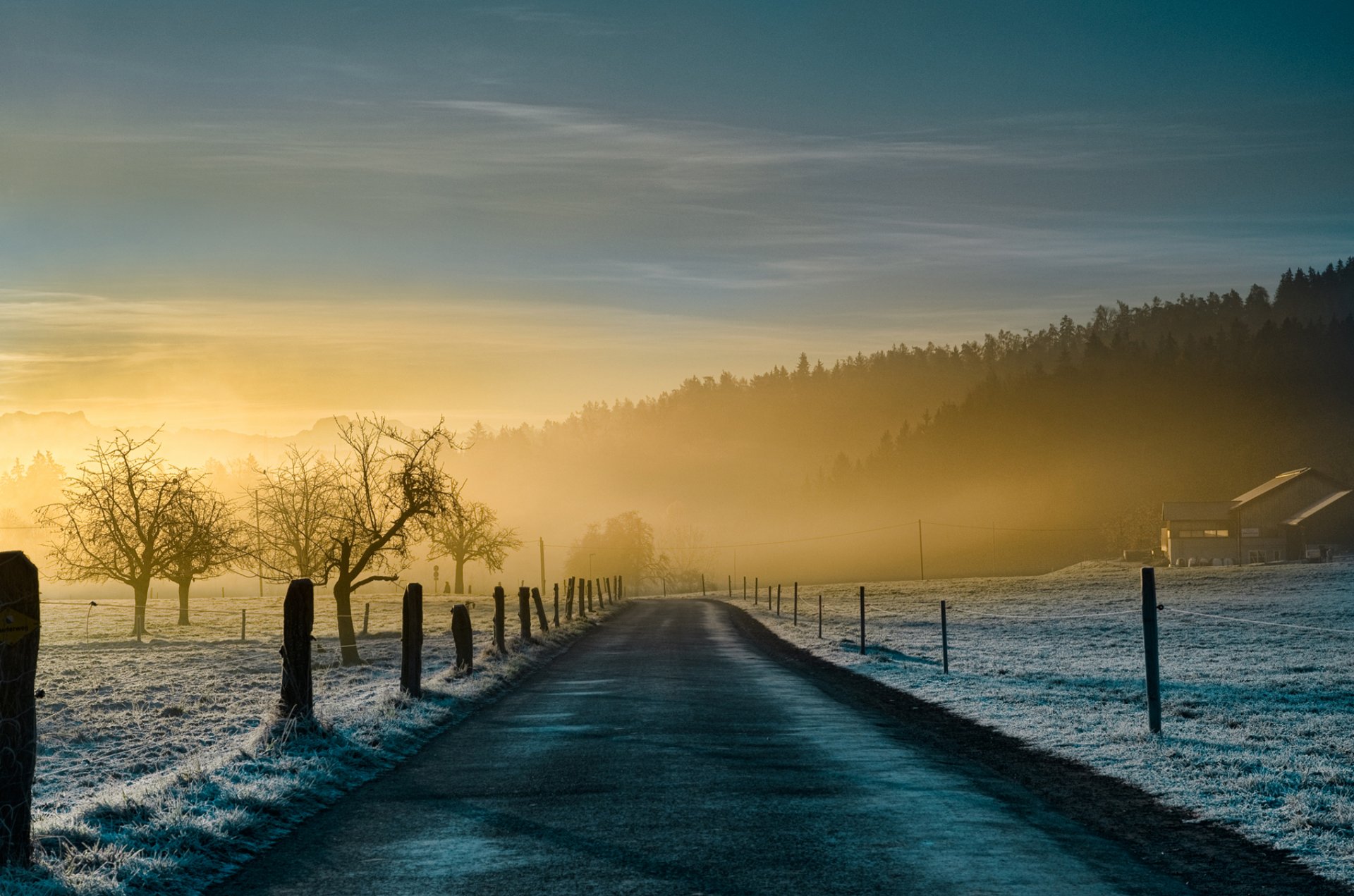 natur morgen straße nebel ini