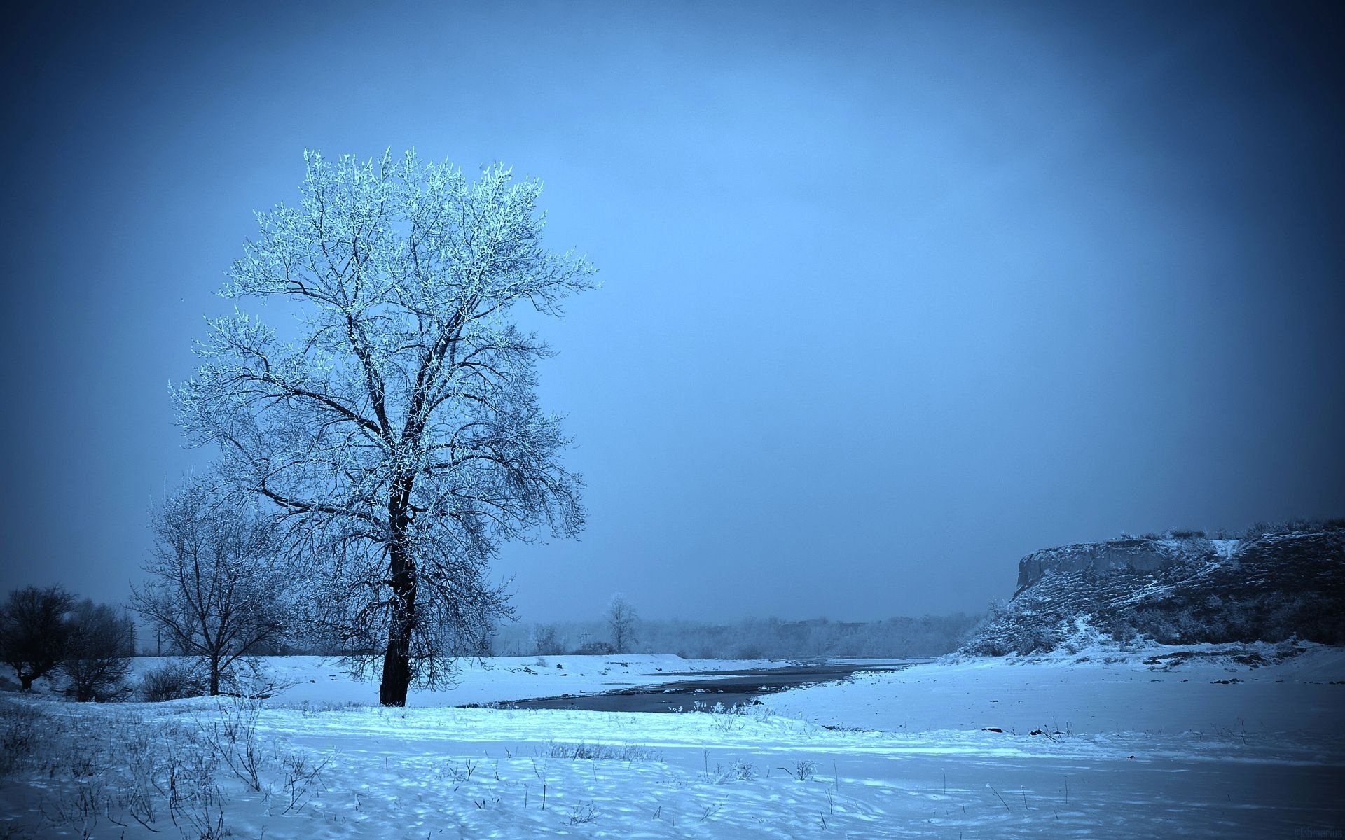 inverno neve gelo albero campo scivolo