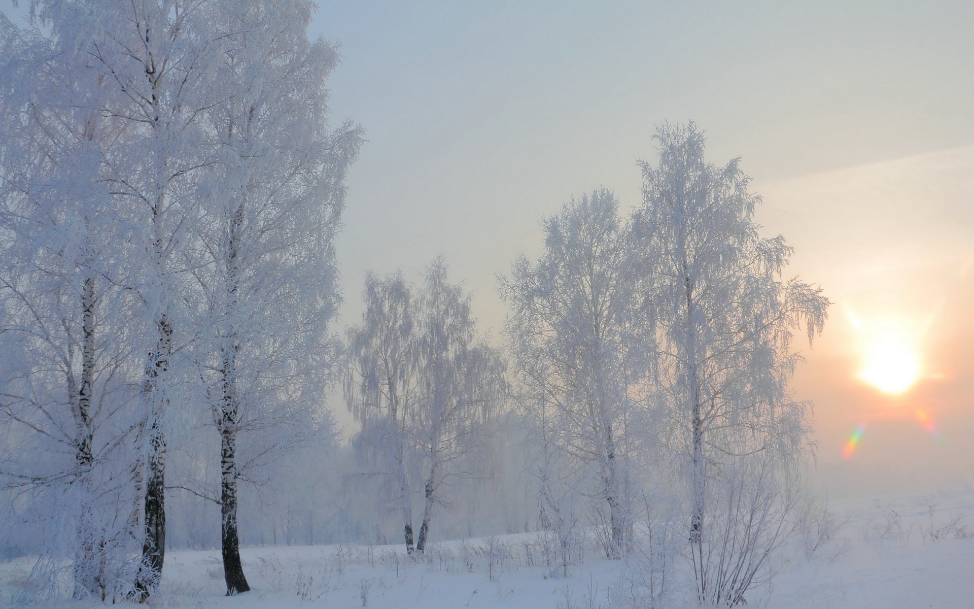 hiver matin neige