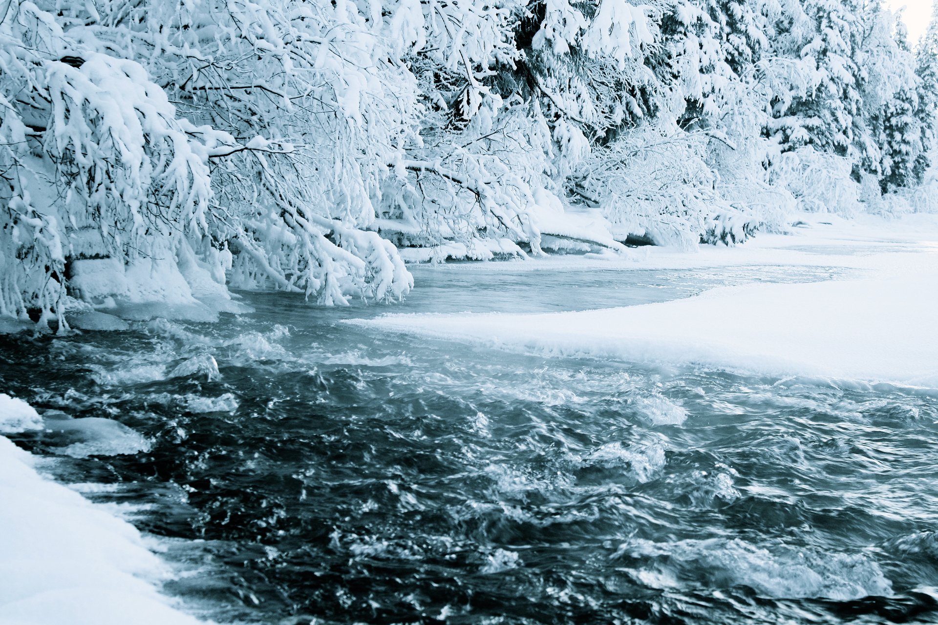 natur winter fluss wald fluss wasser schnee