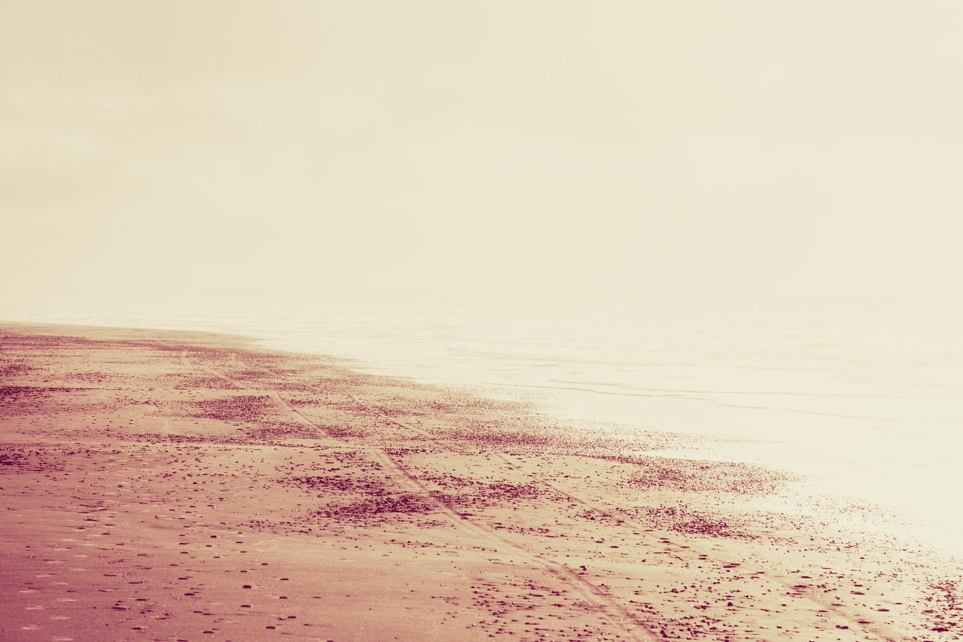 nature landscape beach sand footprints sea water sun light print