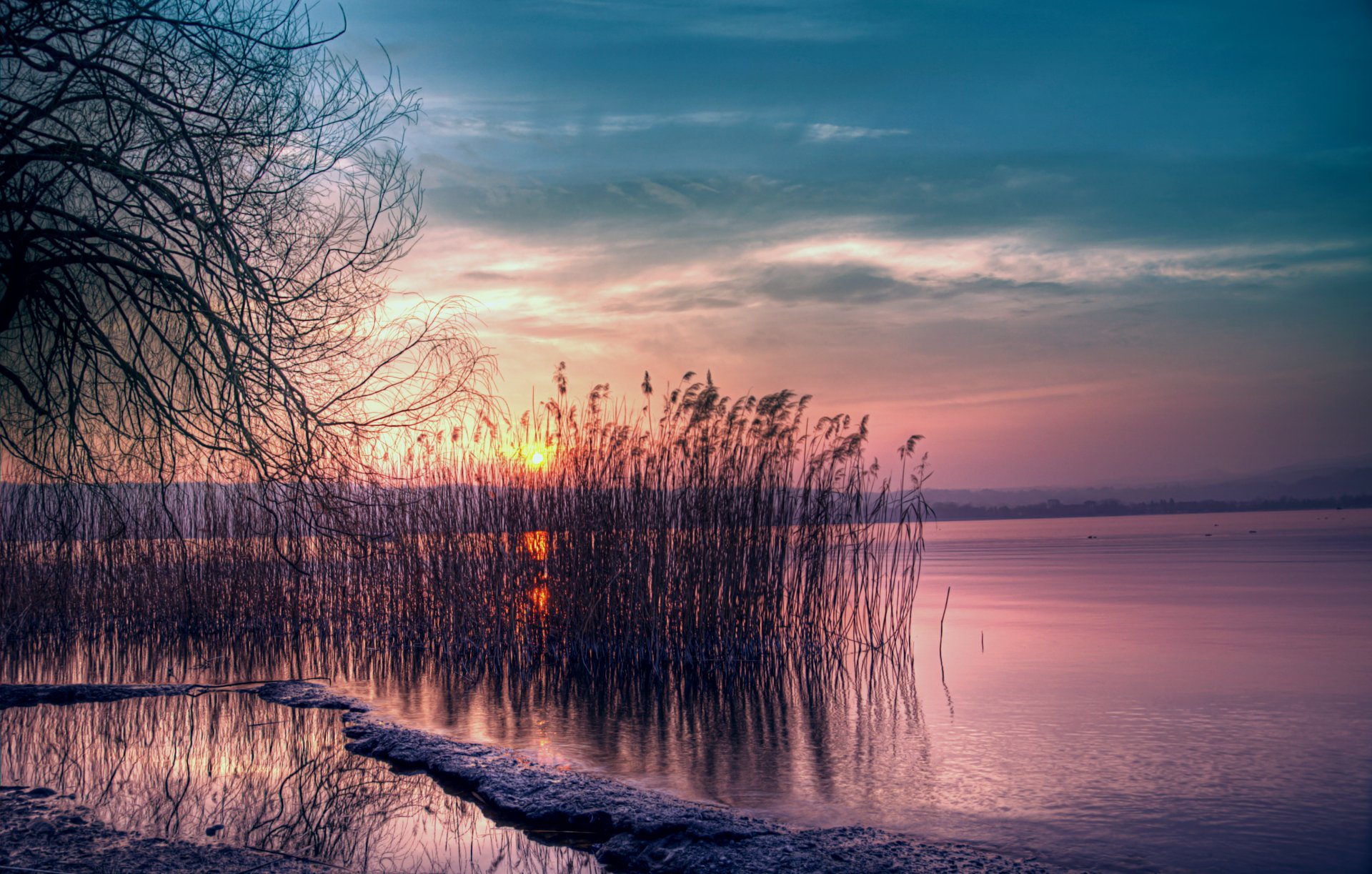 soir crépuscule rose coucher de soleil soleil bleu ciel lac roseaux côte silence