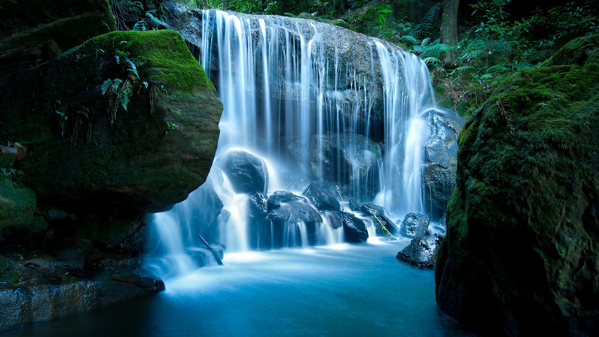 nature pierres cascade mousse forêt