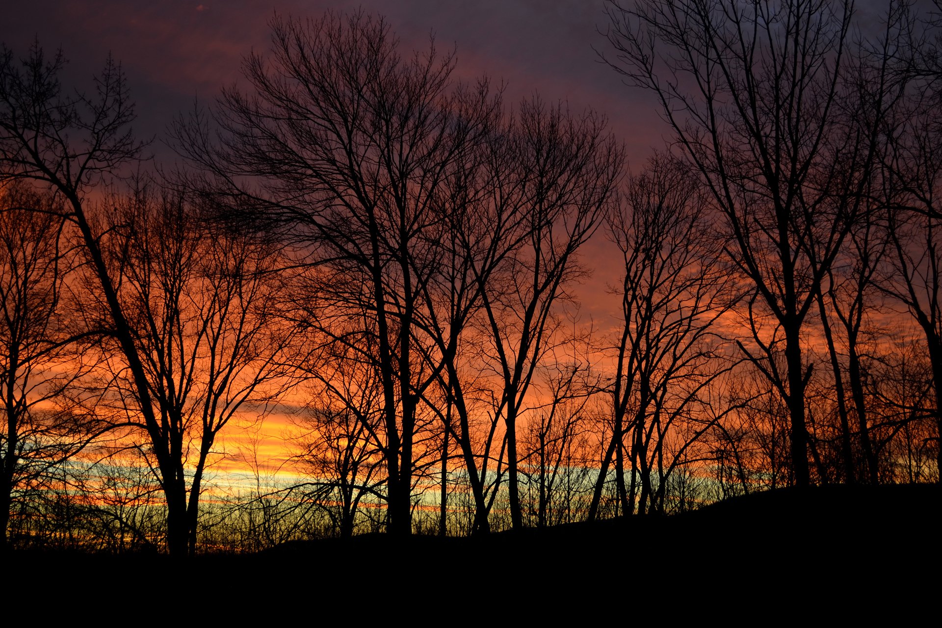 natur abend sonnenuntergang dämmerung himmel bäume kraft