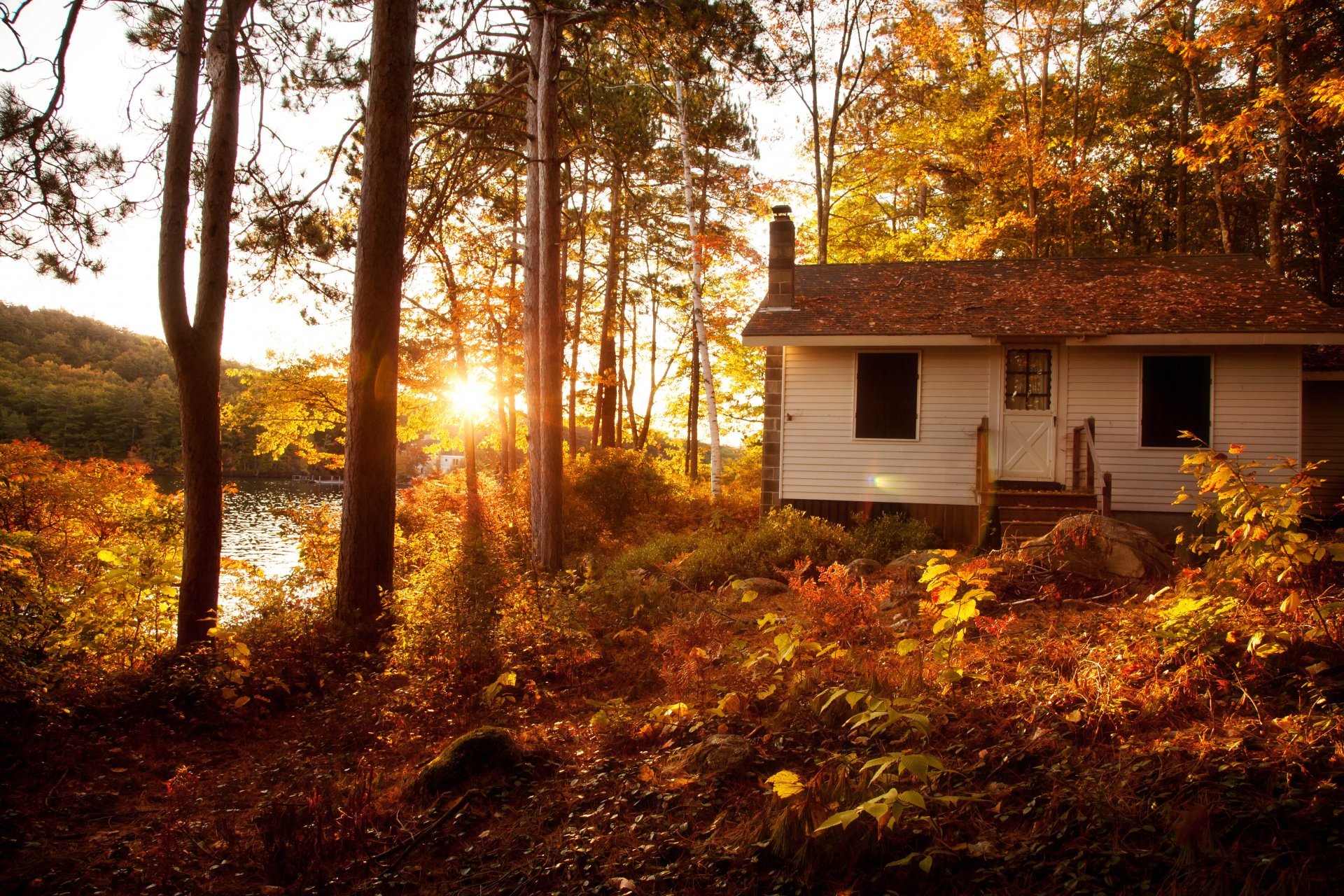 nature landscape forest trees sun sunset autumn villa houses architecture vila house view cool nice