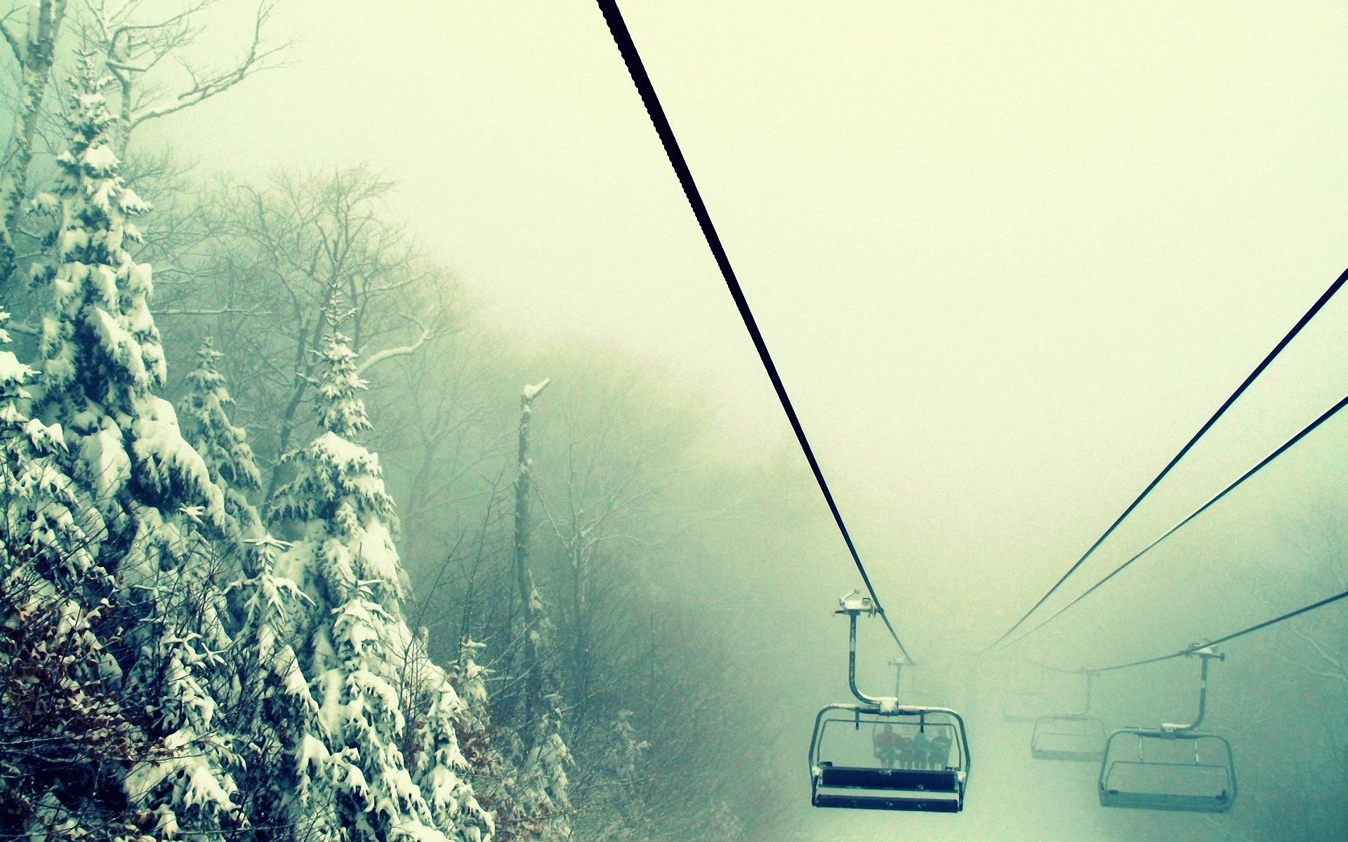 natura vasca salire su nebbia inverno cumuli di neve foresta carta da parati