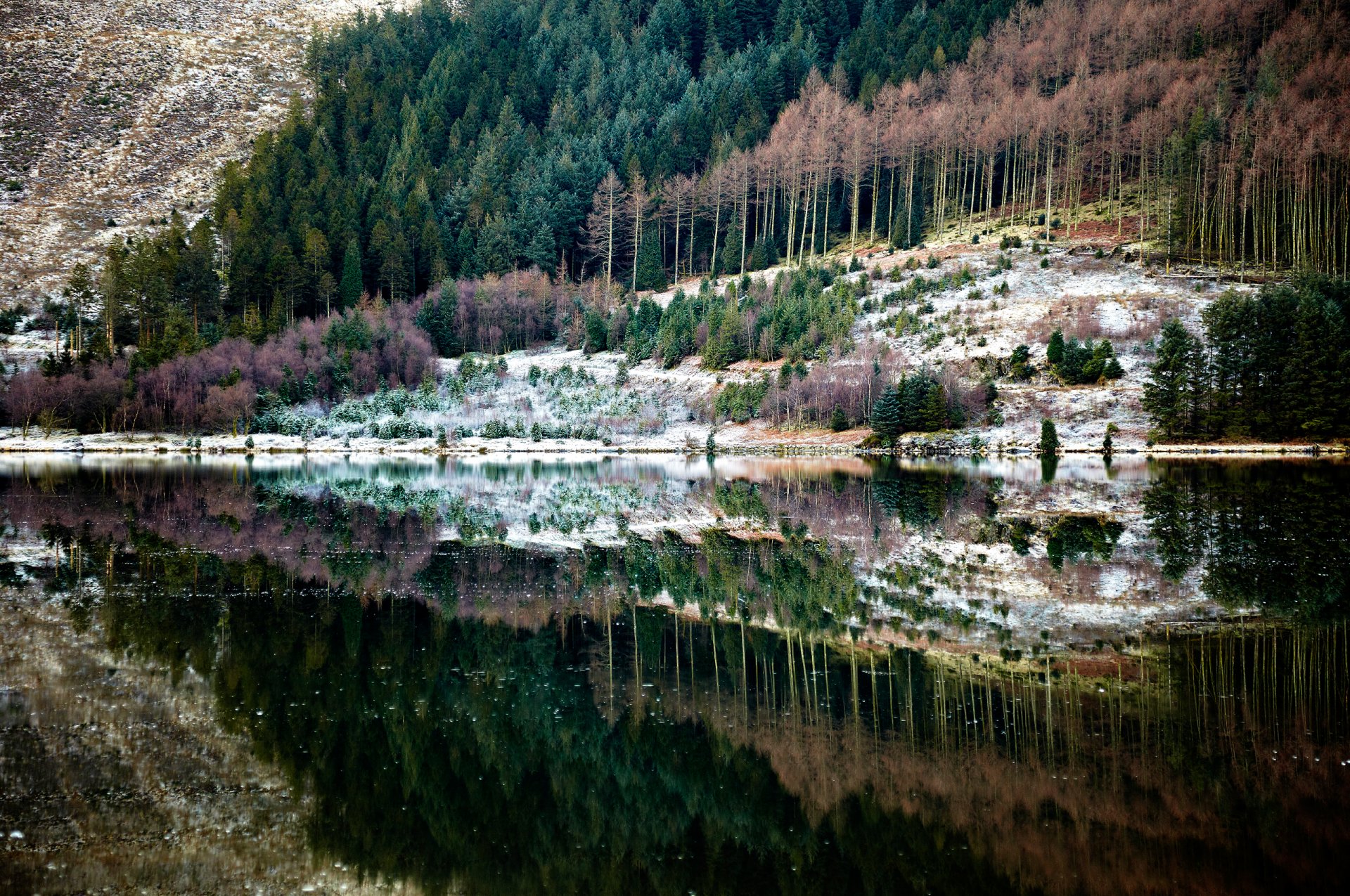 natur wald fluss reflexion