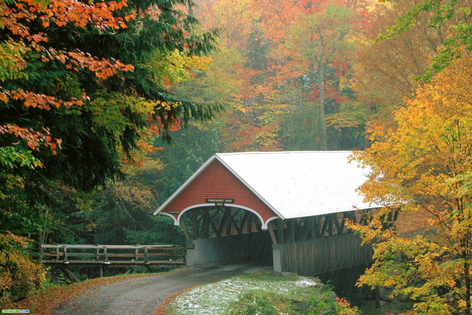 foresta ponte autunno pioggia