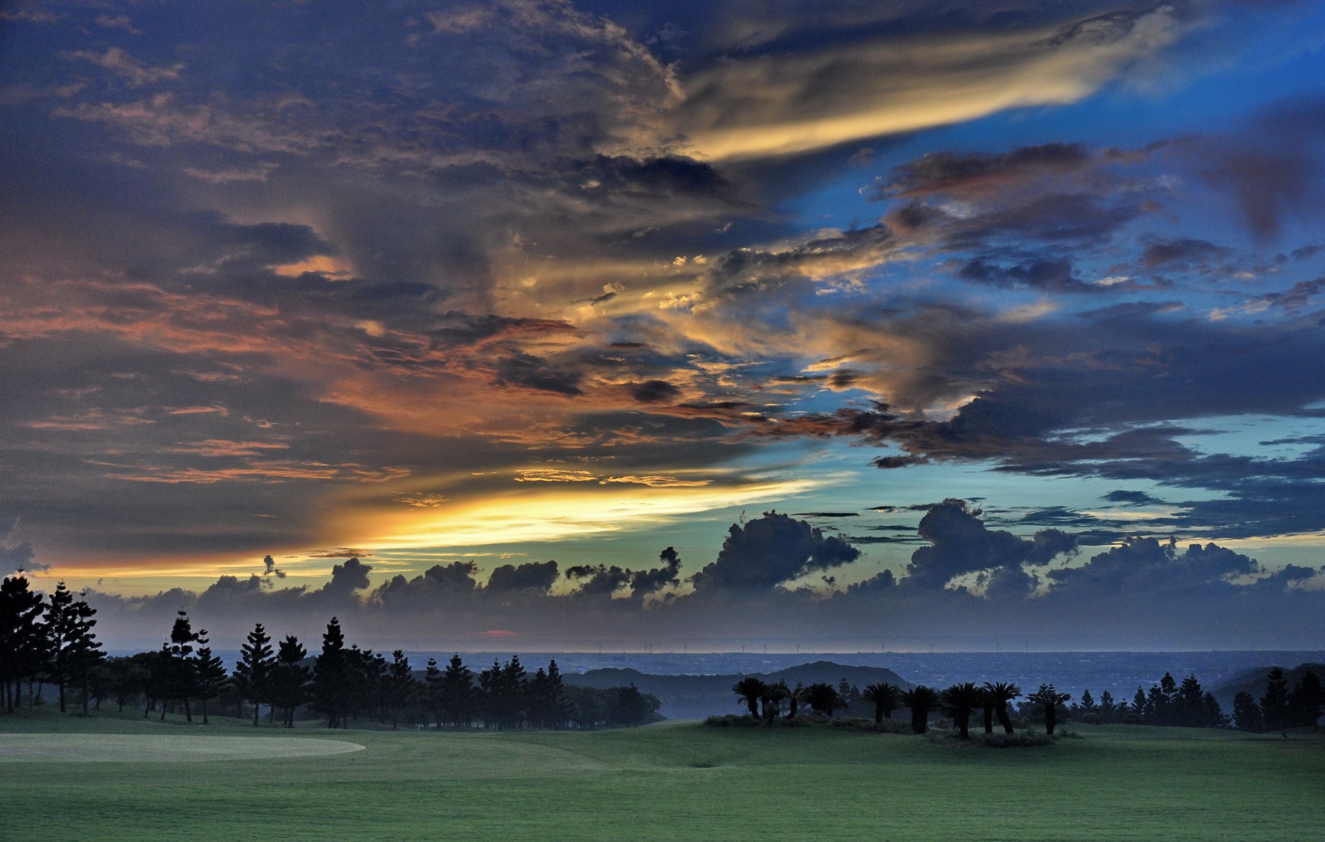 ky tree sunset taiwan cloud