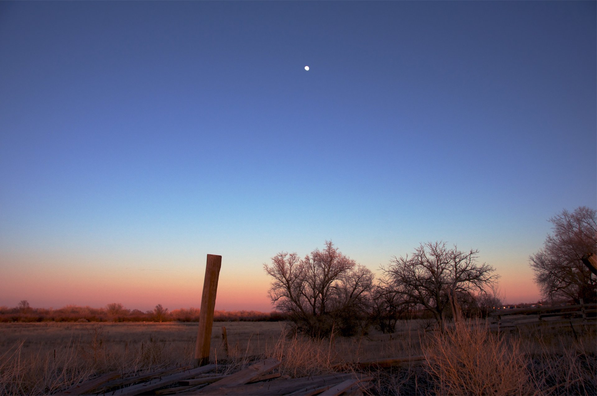 noche campo árboles naranja rosa puesta de sol azul cielo luna