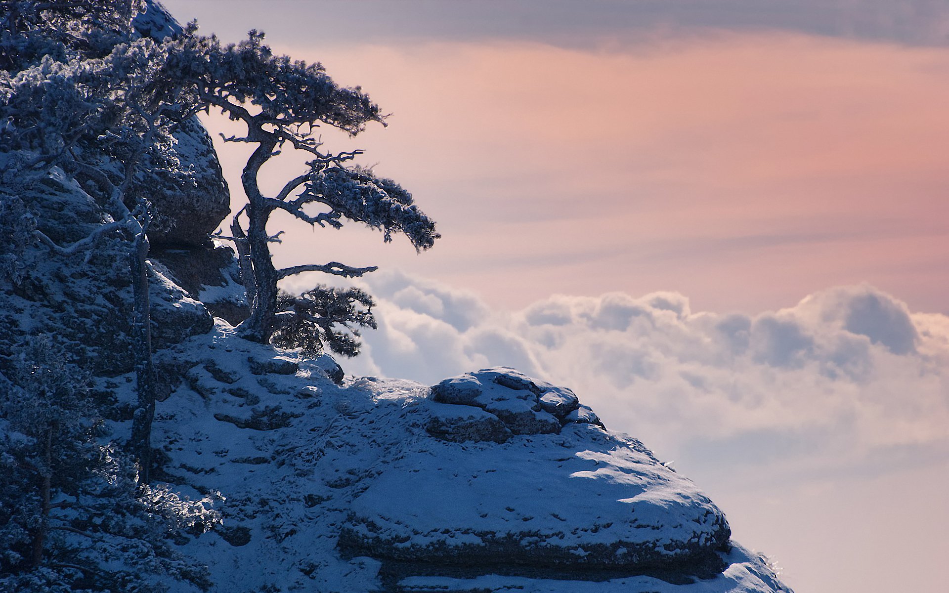 crimée hiver neige montagnes pins nuages