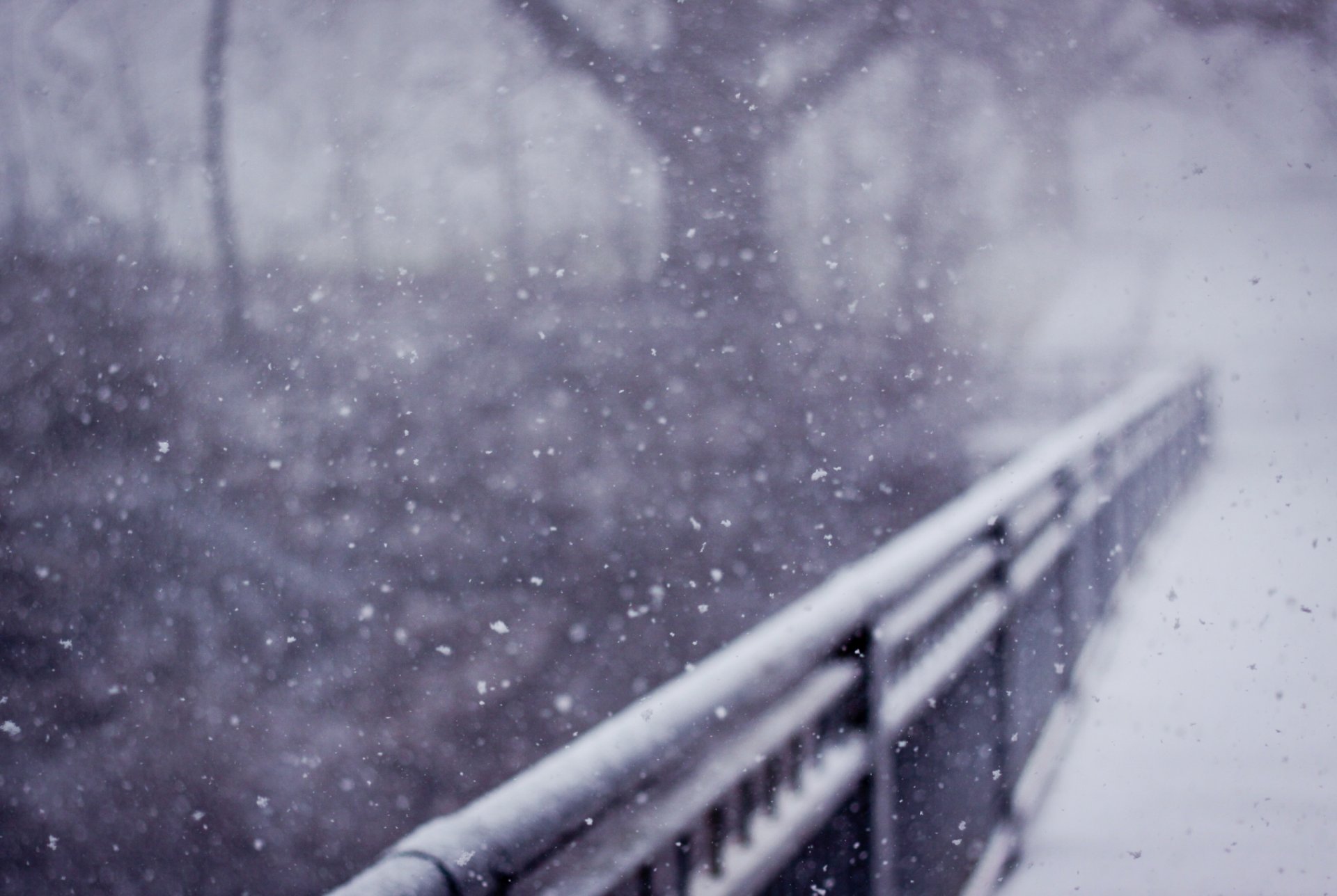 nature winter snow rail