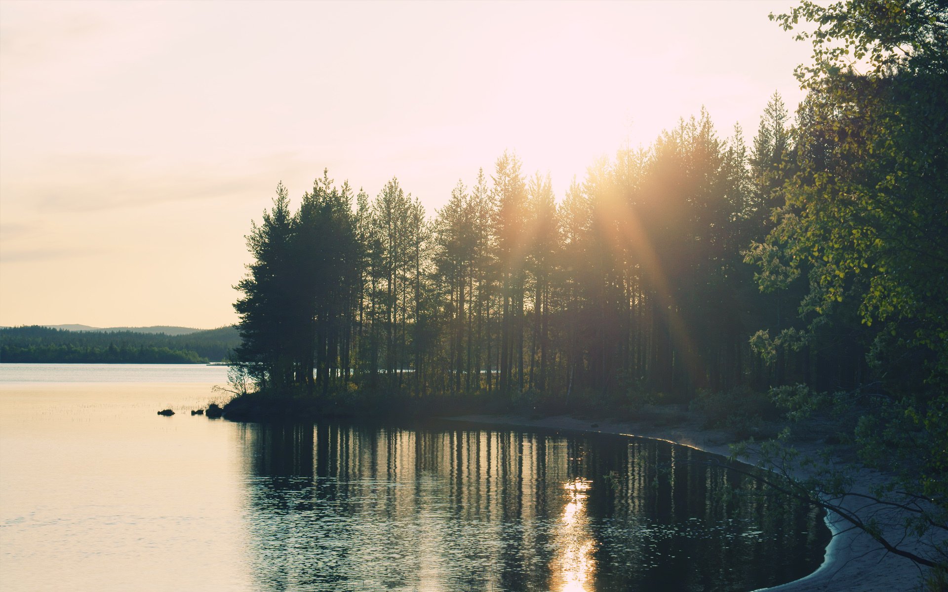 naturaleza bosque lago luz