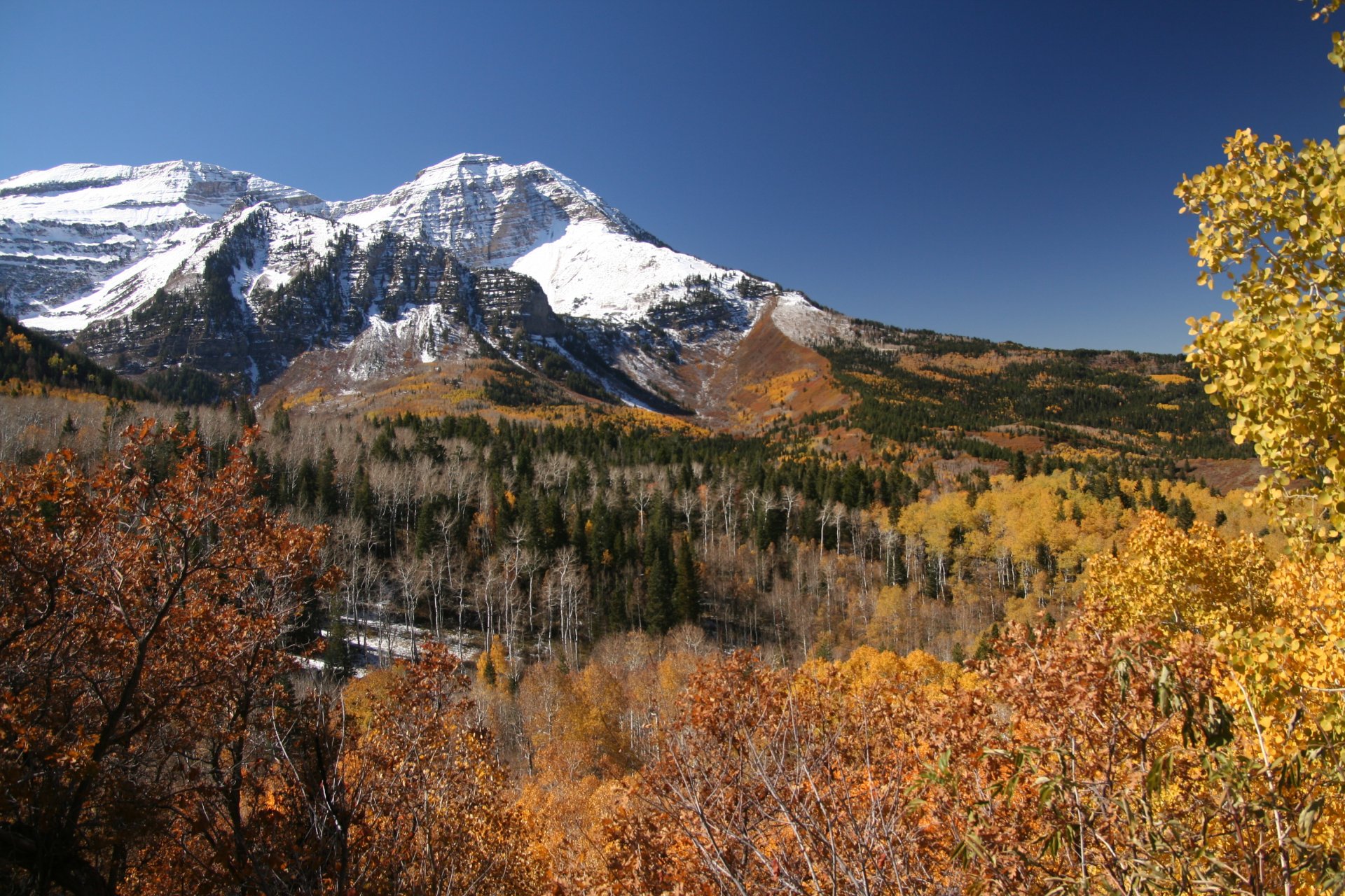 otoño montañas bosque árboles hojas claro día azul sin nubes cielo