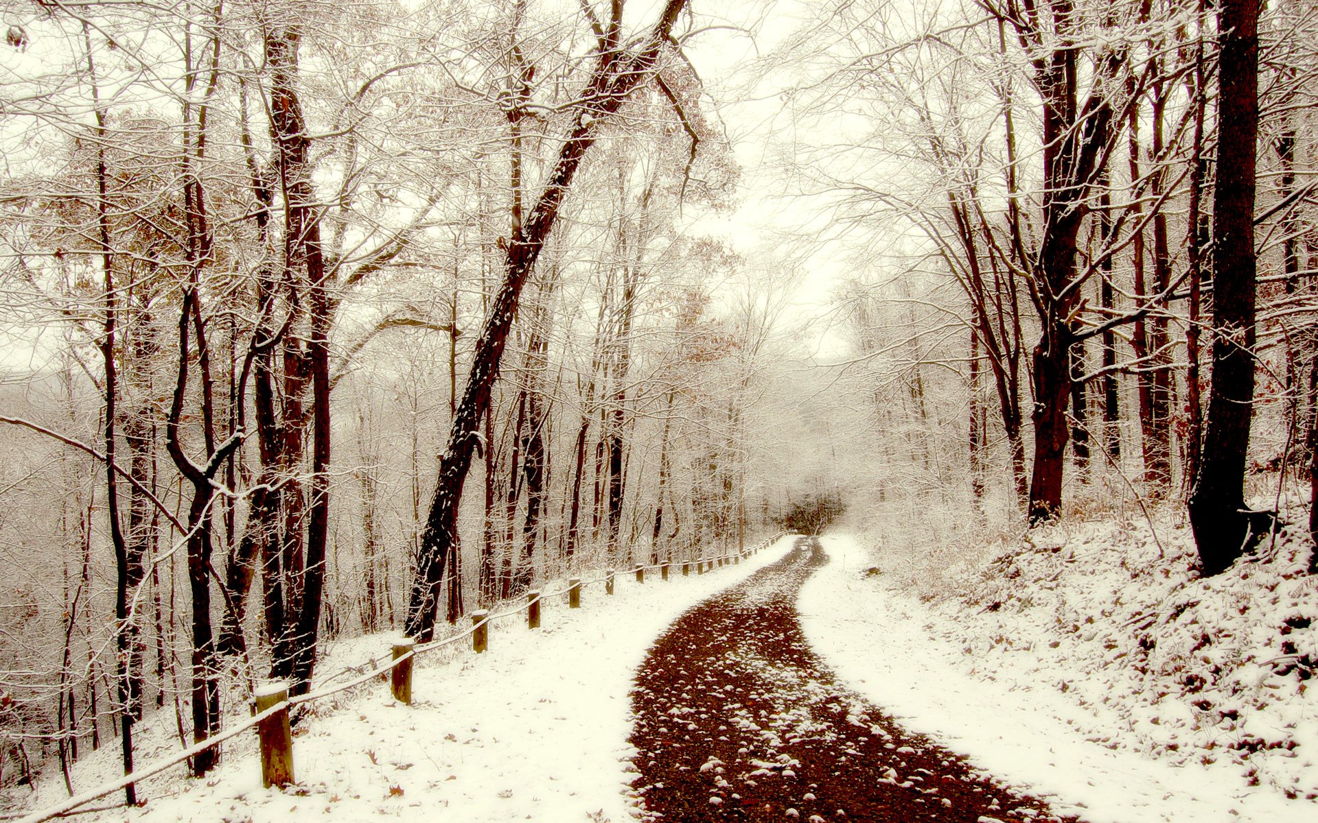 schnee winter wanderweg spaziergang