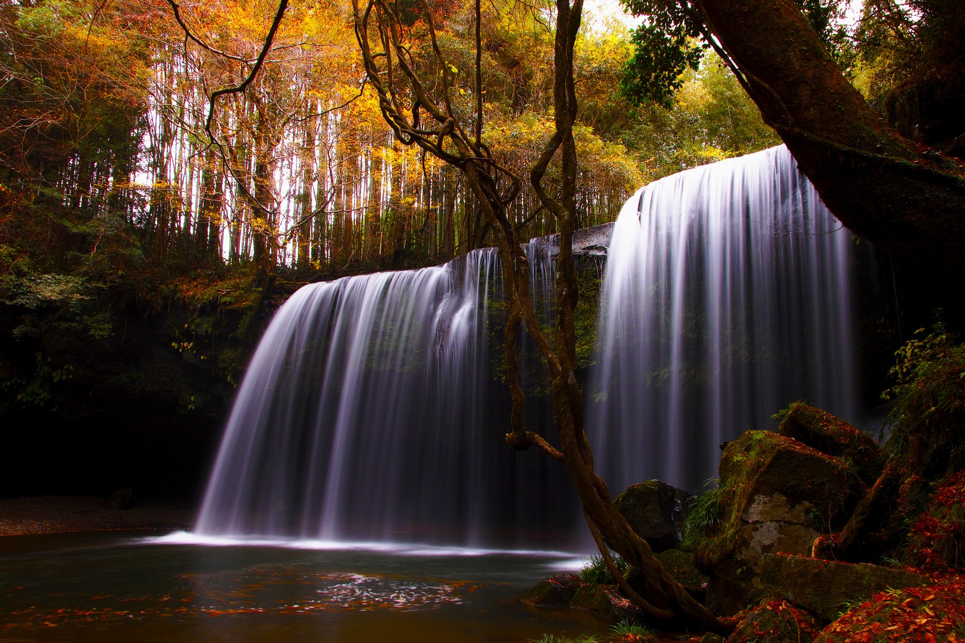 natur wasserfall fluss herbst bäume