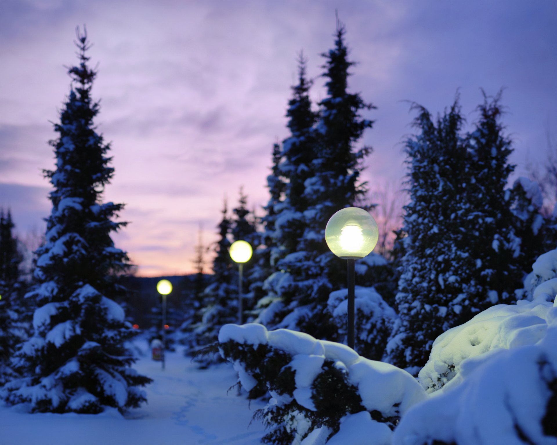 natur winter schnee abend lichter licht