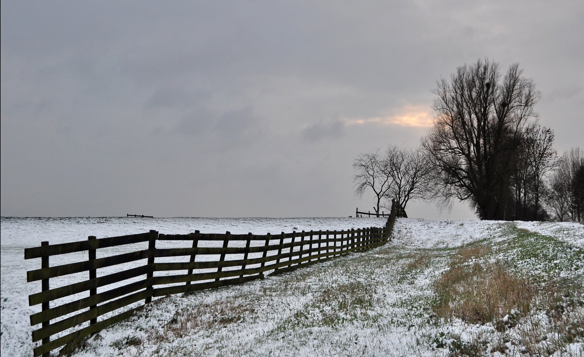 winter zaun feld frost bäume grau himmel