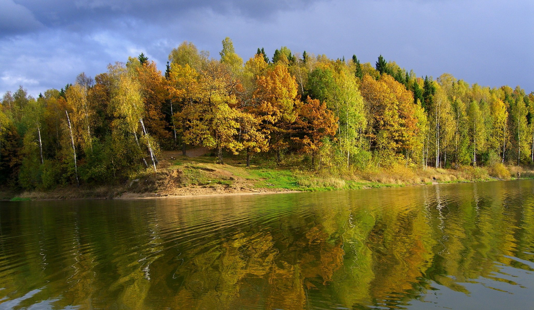 autumn sky tree beach river