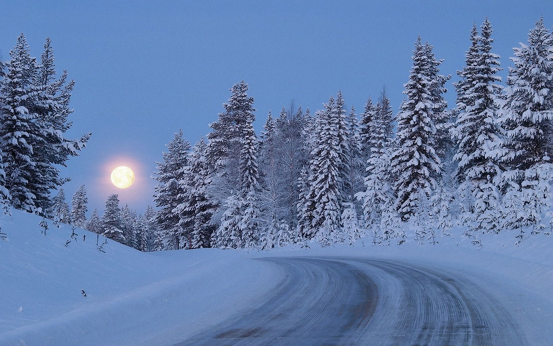 winter schnee straße wald bäume dämmerung mond