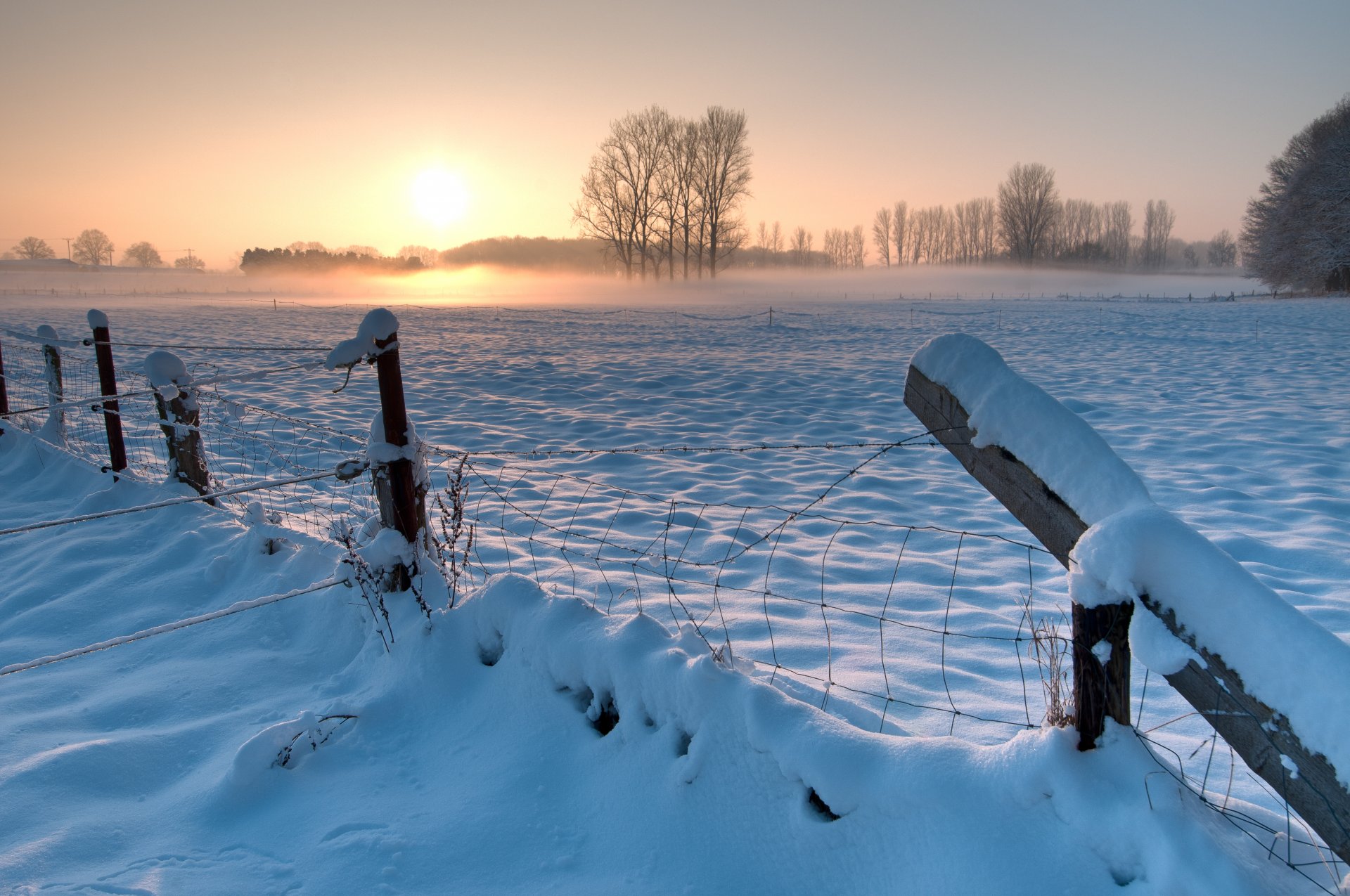 germany winter snow the field tree fence fencing night sunset sun sky