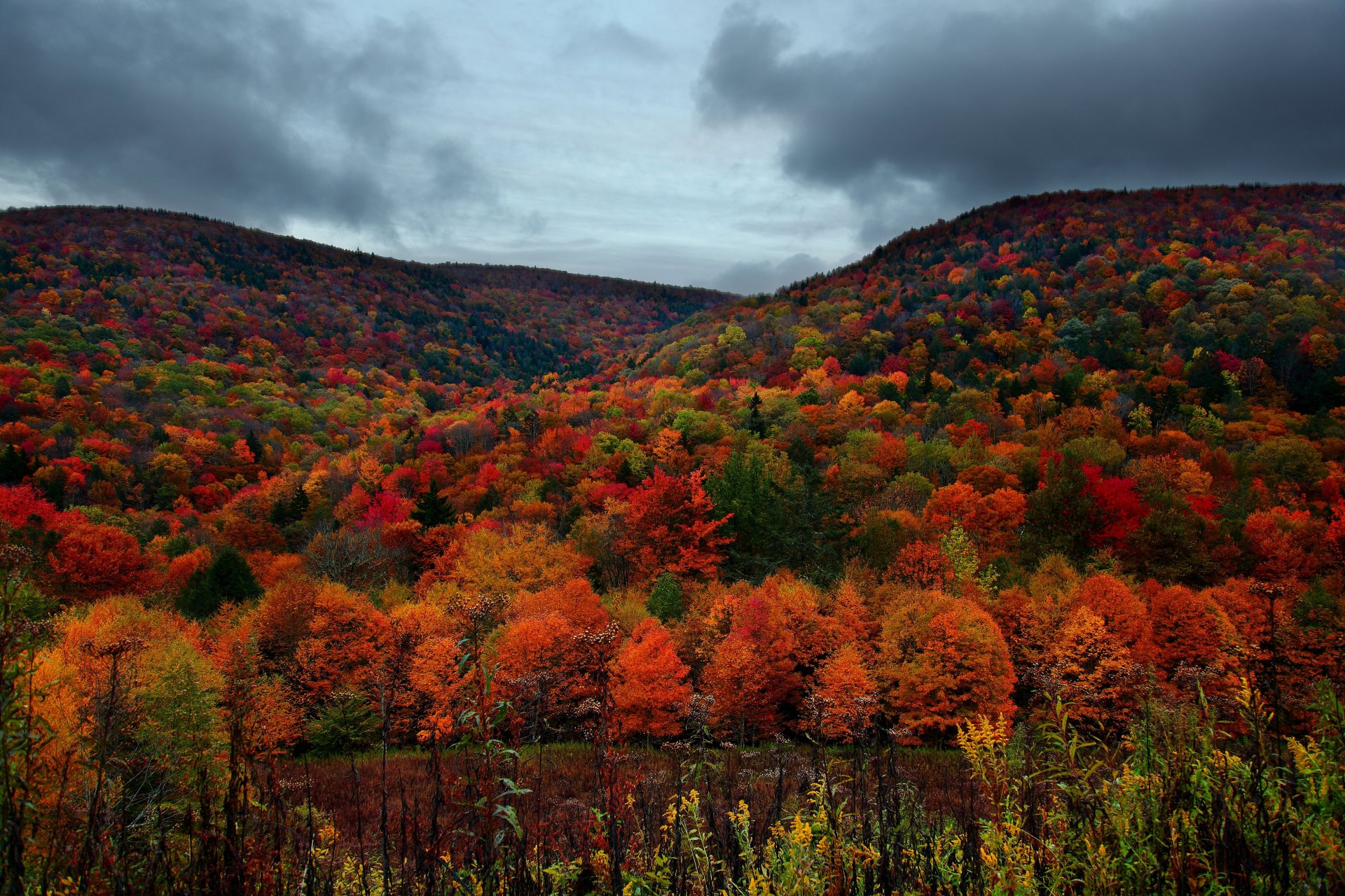 automne montagnes forêt arbres ciel nuages nuageux