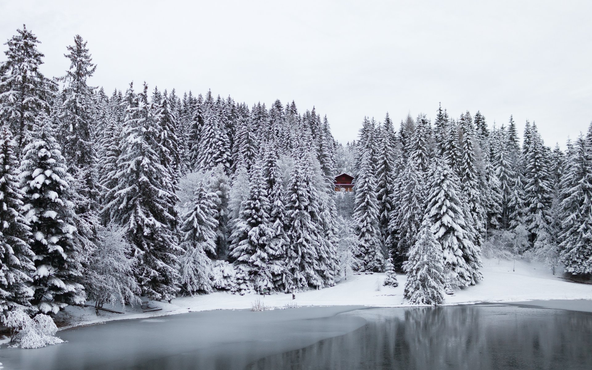 suisse hiver neige forêt arbres maison lac