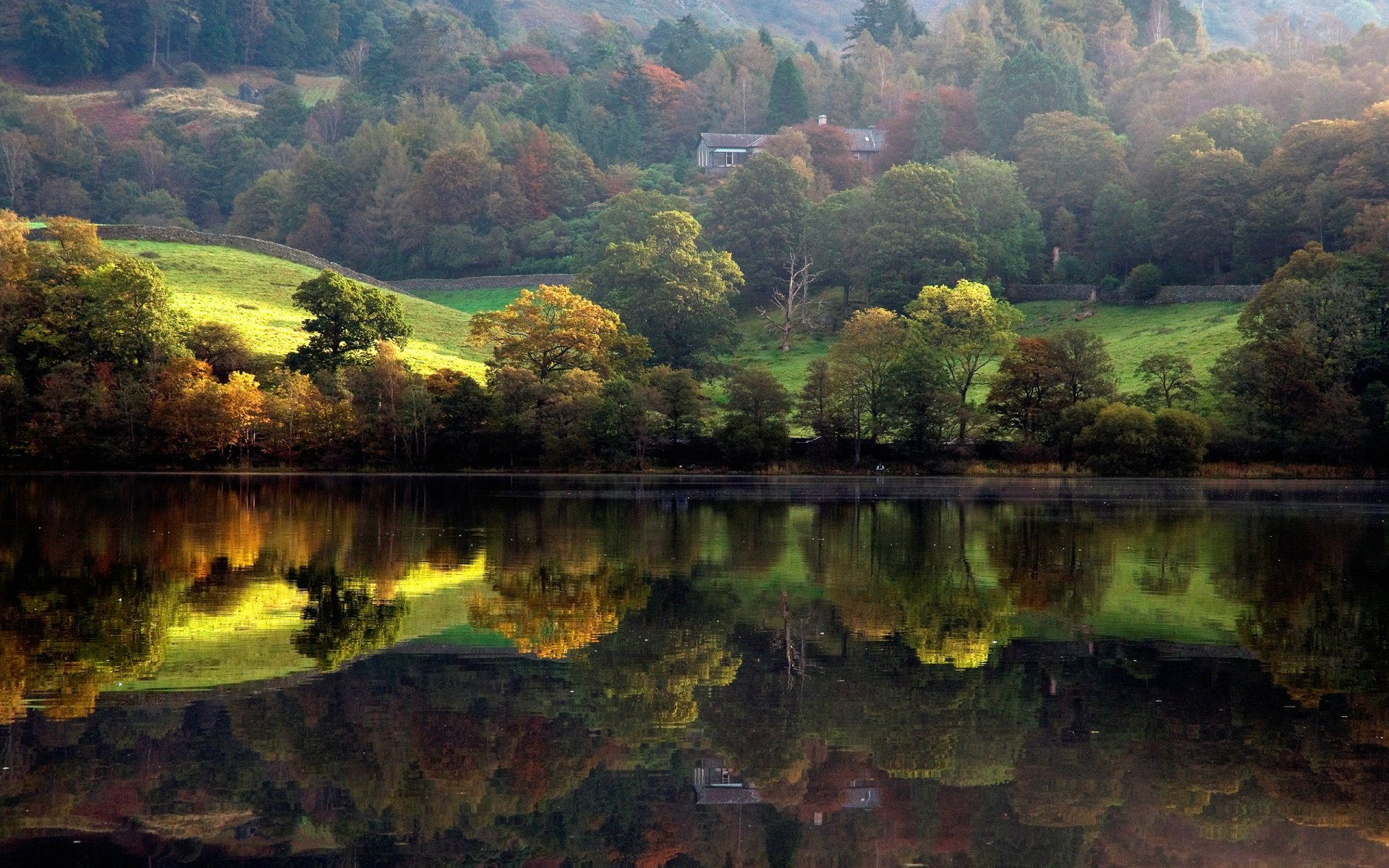 natur landschaft fluss ufer wald bäume hütte