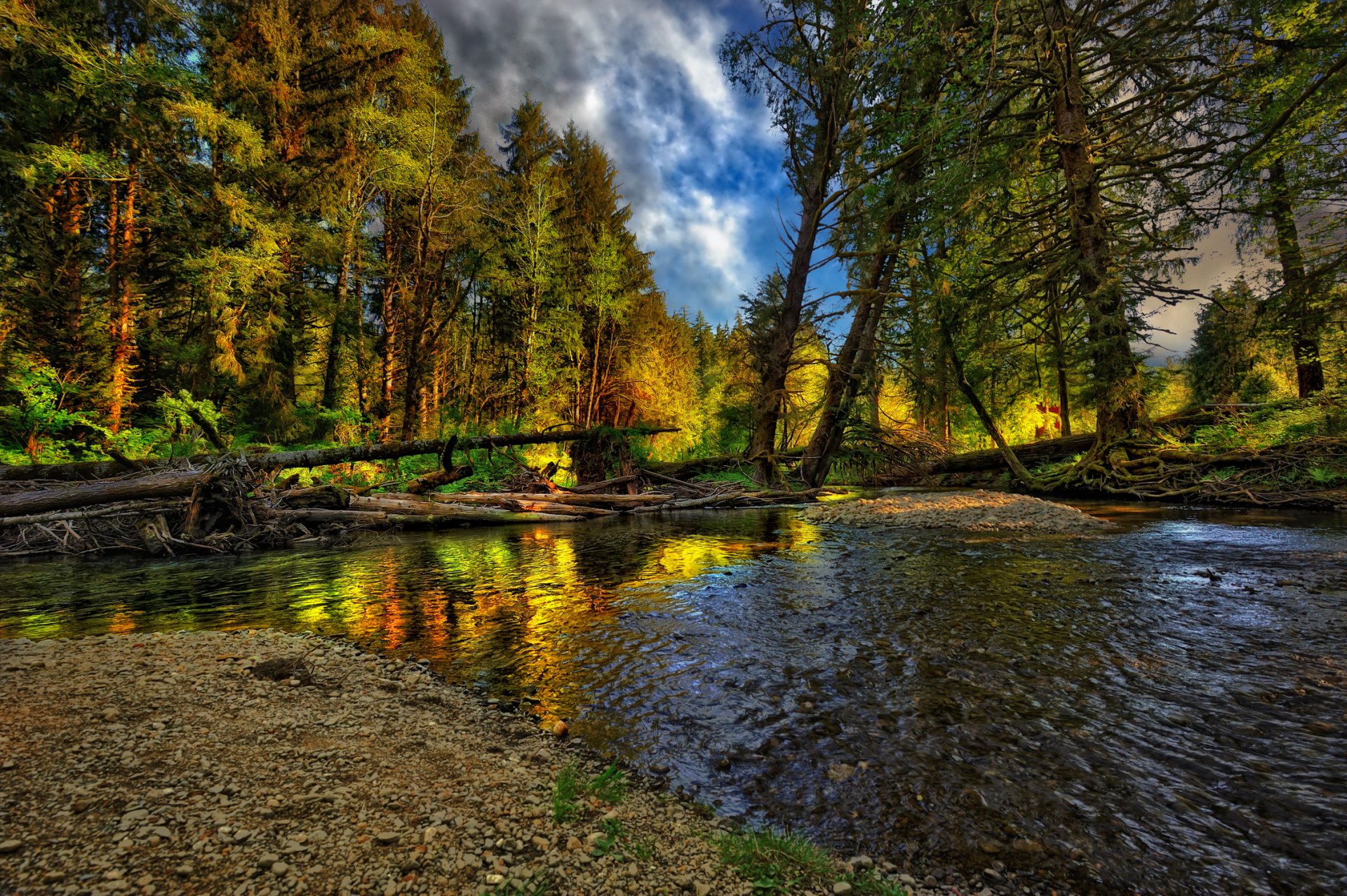 natura paesaggio fiume autunno foresta fresco bello