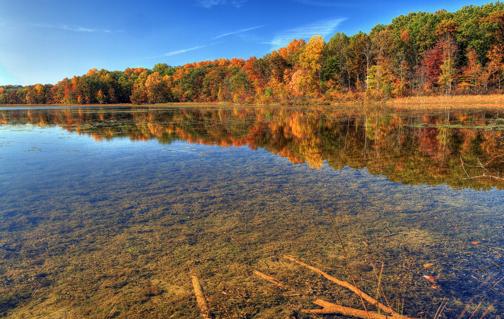 nature autumn river transparency