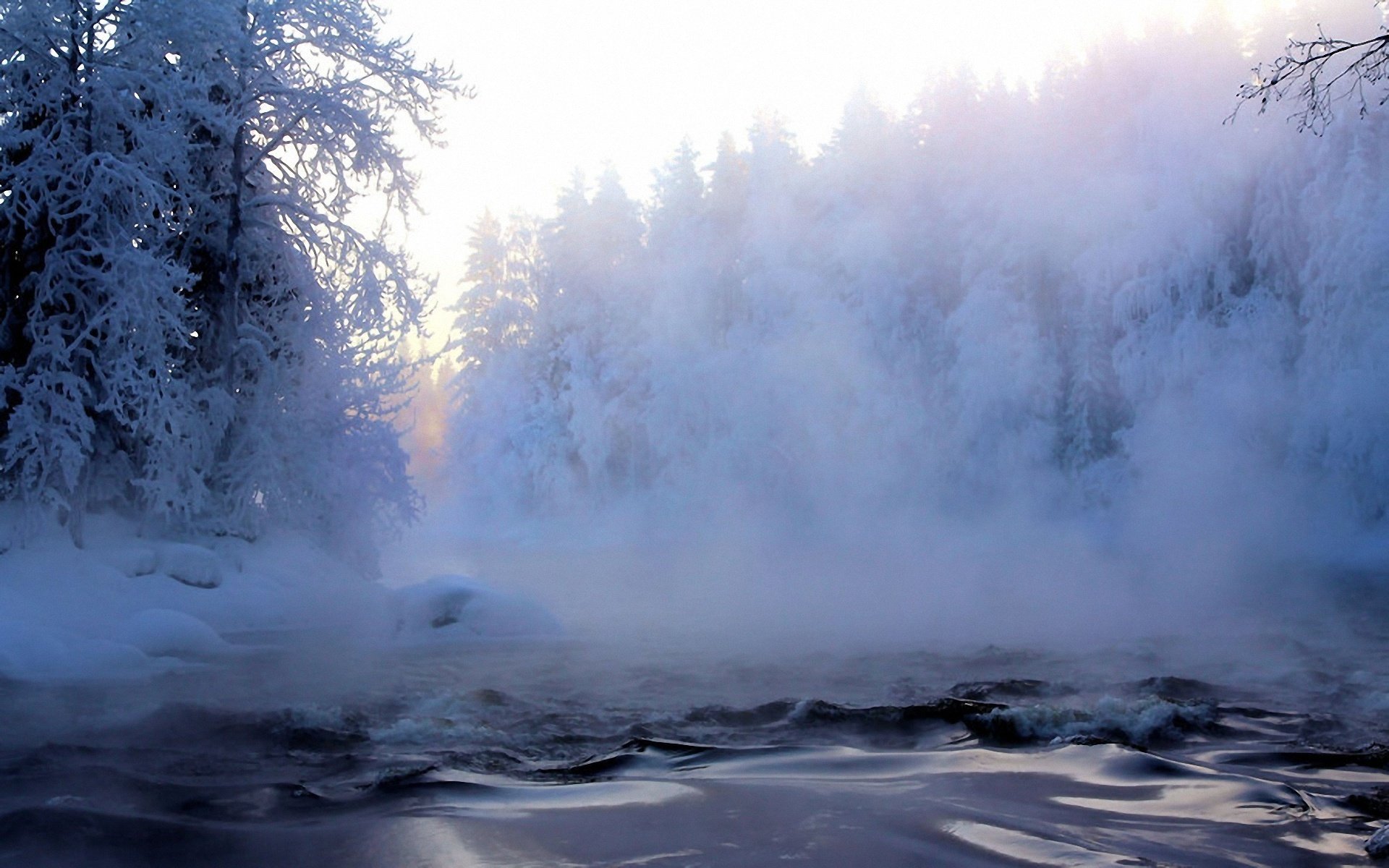 winter snow frost forest tree river fog haze