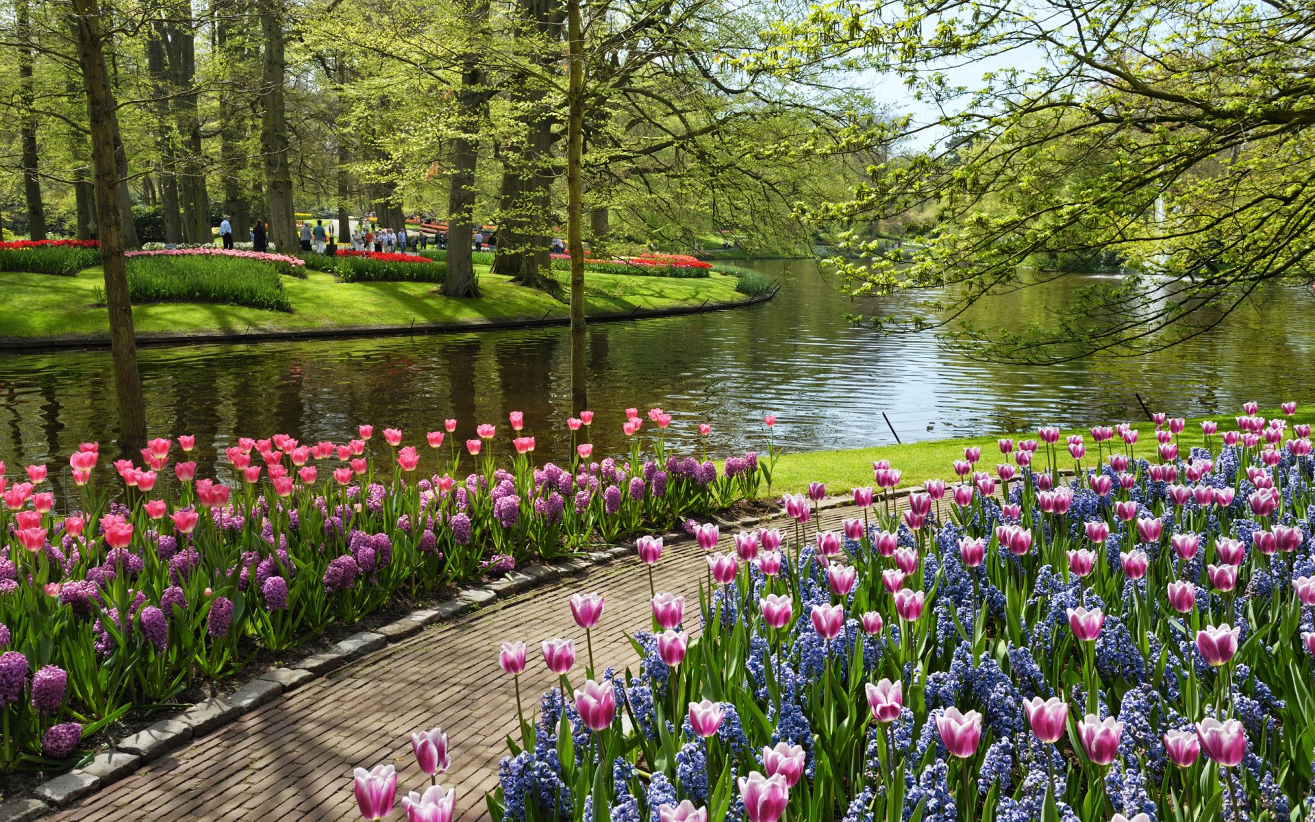 keukenhof europa-garten niederlande park blumen tulpen sommer teich wasser