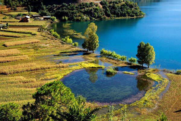 Sowing fields and a lake