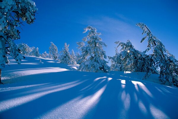 Collina innevata. Pacificazione gelida