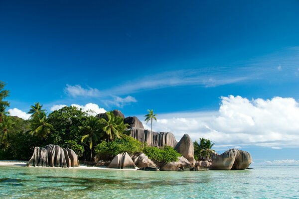 Paysage des Seychelles sous un ciel clair