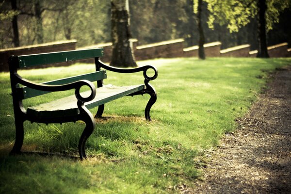 Banco en un parque verde soleado