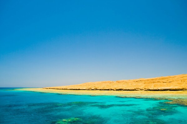 A miracle of nature, the confluence of sea and river