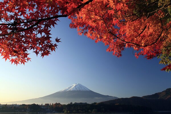 Paysage d arbre d automne avec volcan