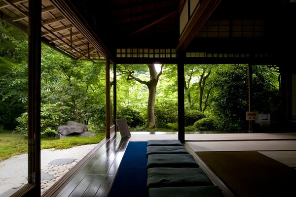 Zen dans le temple de la forêt