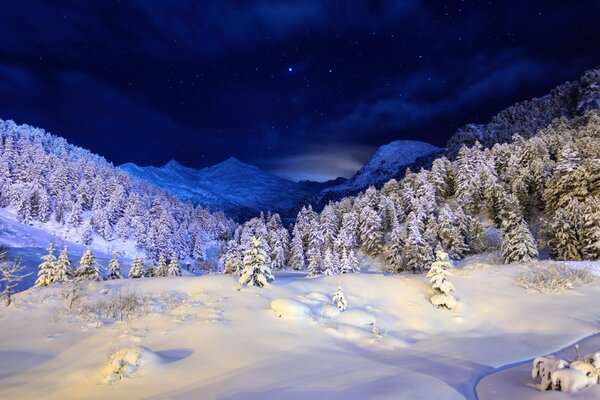 La belleza del bosque nocturno de invierno y las montañas