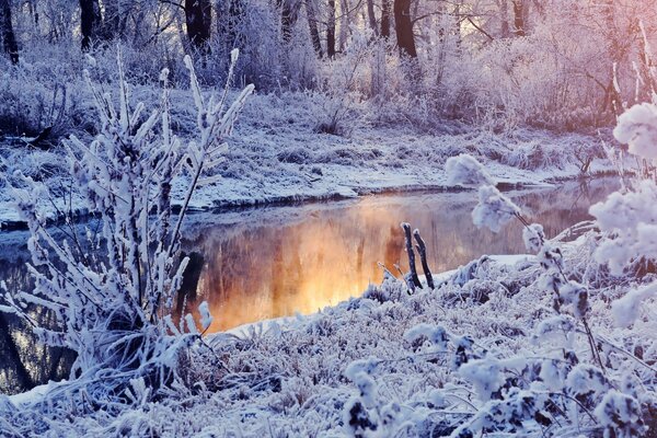 Tapete Wintersee