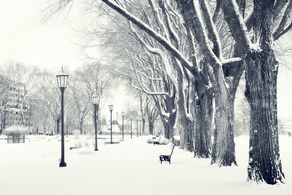 Lanterns and a bench in the winter park