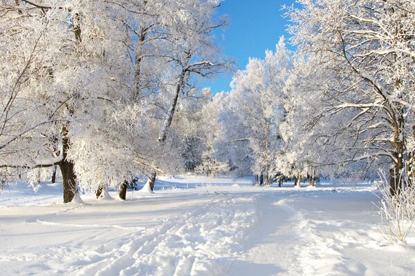 Frost und Sonne sind ein wunderbarer Tag