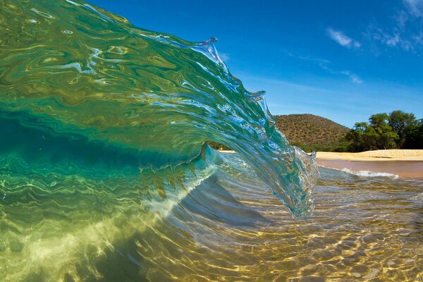 La vague de mer appelle à se baigner