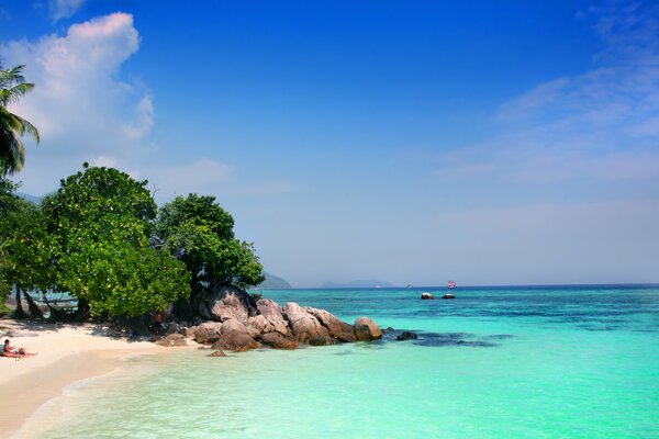 Hermosa playa deshabitada con palmeras